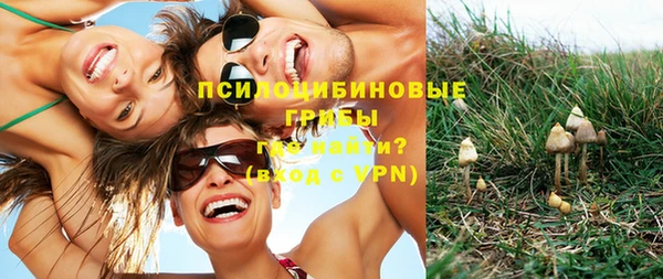 a pvp Кинешма